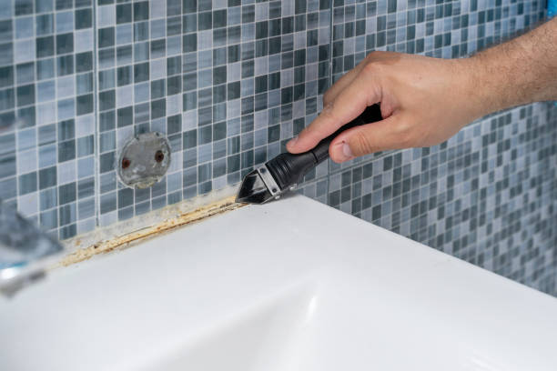 Best Residential Mold Remediation in Montebello, NY