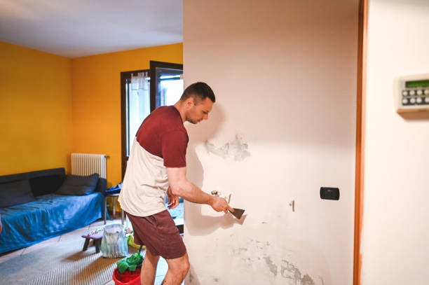 Best Basement Mold Remediation in Montebello, NY
